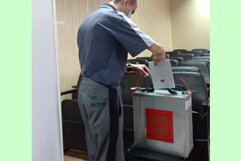 голосование