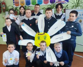 хайтинская ромашка